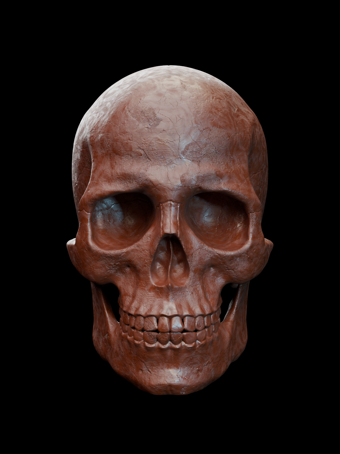 Human skull